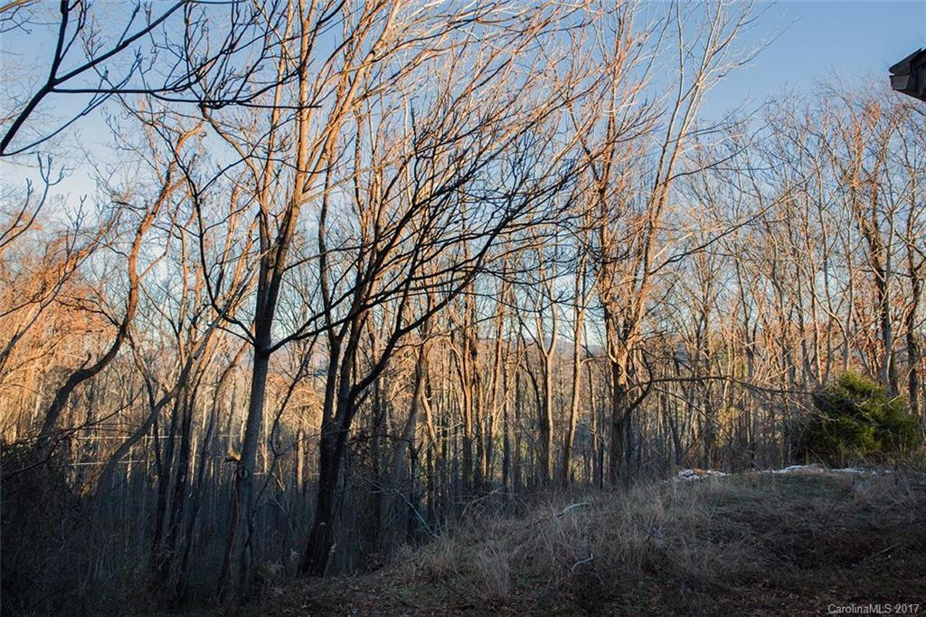 63 Wolf Road - Photo 8