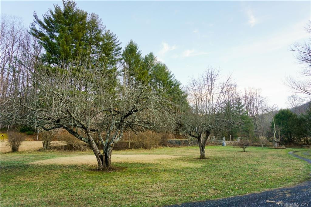 764 Brushy Creek Road - Photo 8