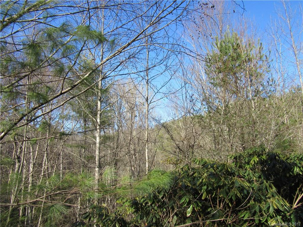 5 Rawlings Run #5 - Photo 21