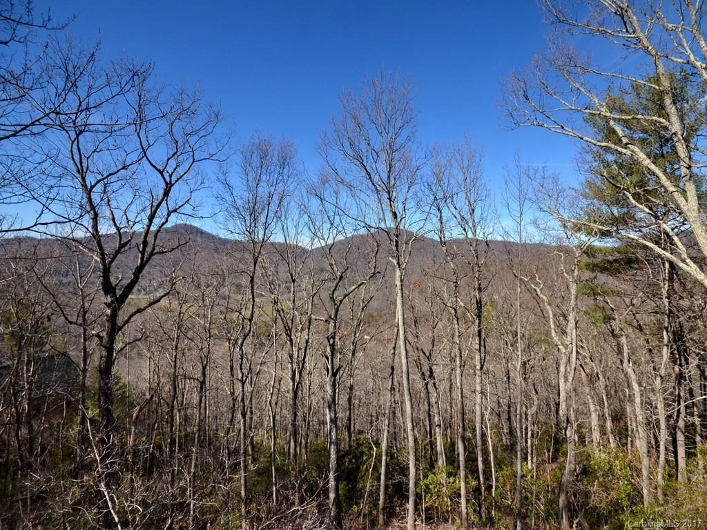 320 Mountain Laurel None - Photo 5