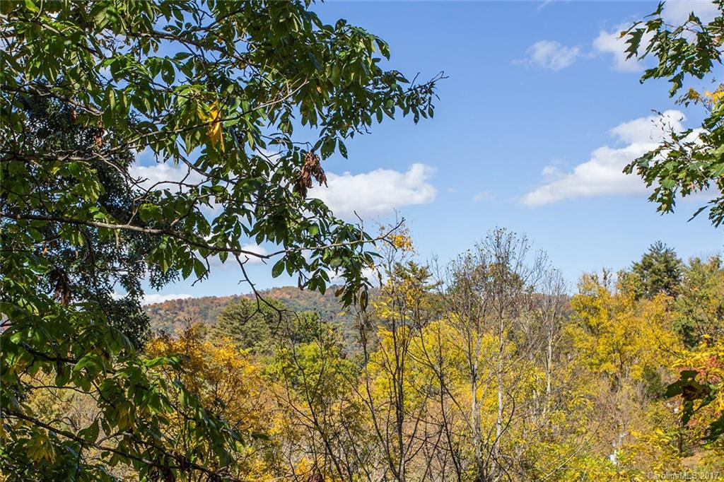 137 Spooks Branch Road - Photo 6