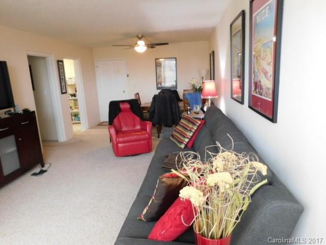 647 Town Mountain Road #110 - Photo 8