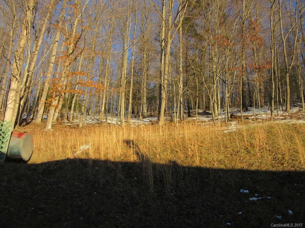5253 Old Hwy 80 Road - Photo 15