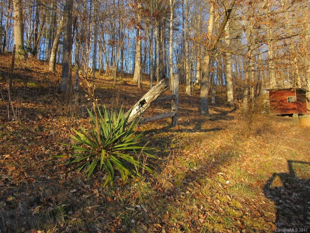5253 Old Hwy 80 Road - Photo 18