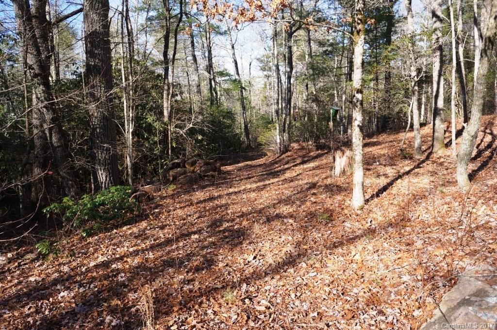550 Upper Whitewater Road #4-B, 4-A - Photo 20