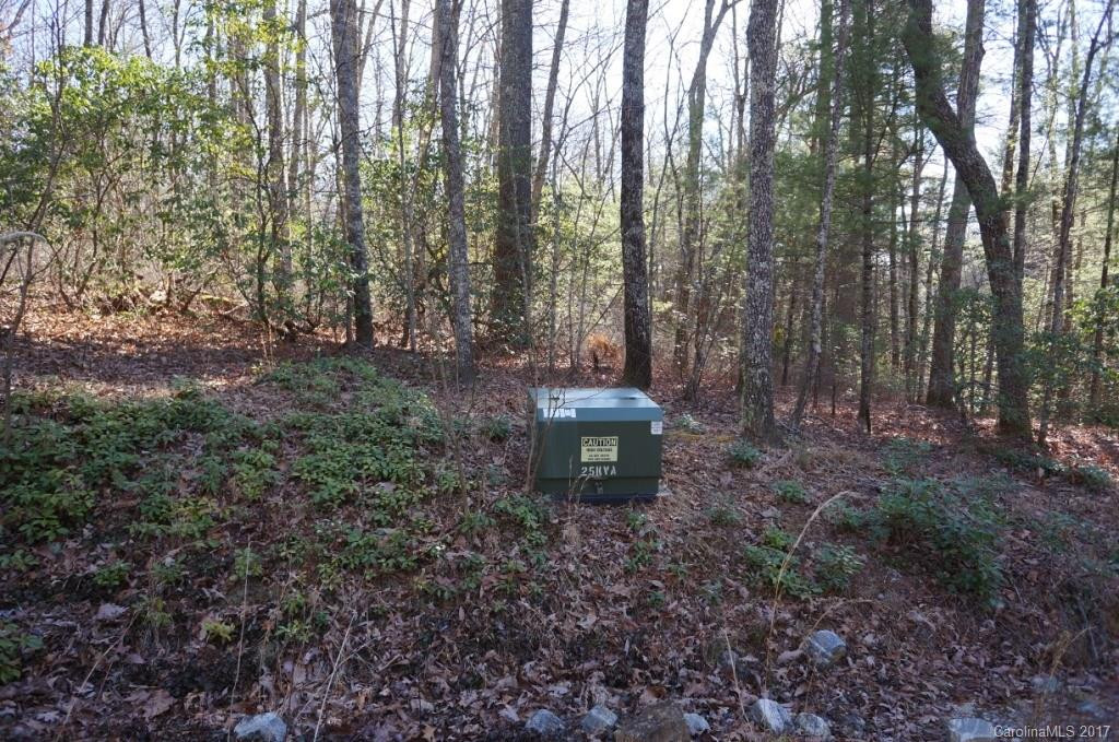 550 Upper Whitewater Road #4-B, 4-A - Photo 3