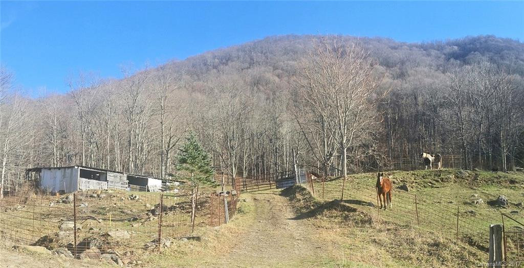 509 Gaddy Heights - Photo 22