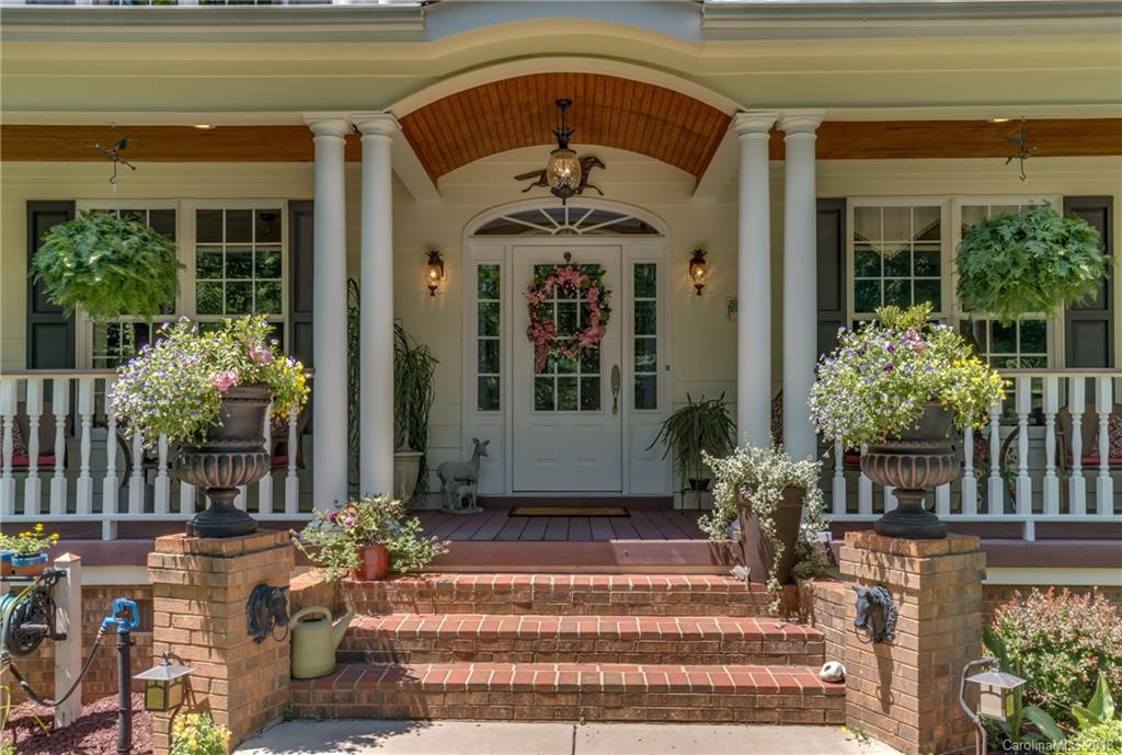 146 Appaloosa Lane