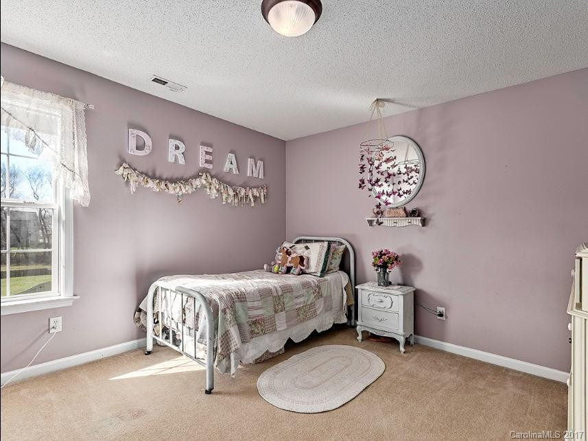 413 Wildbriar Road - Photo 13
