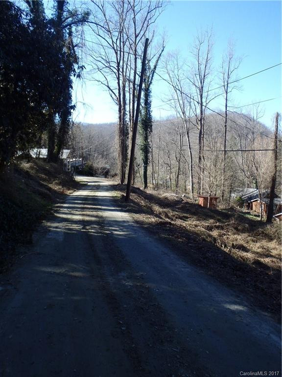 116 Lower Bat Cave Drive - Photo 2