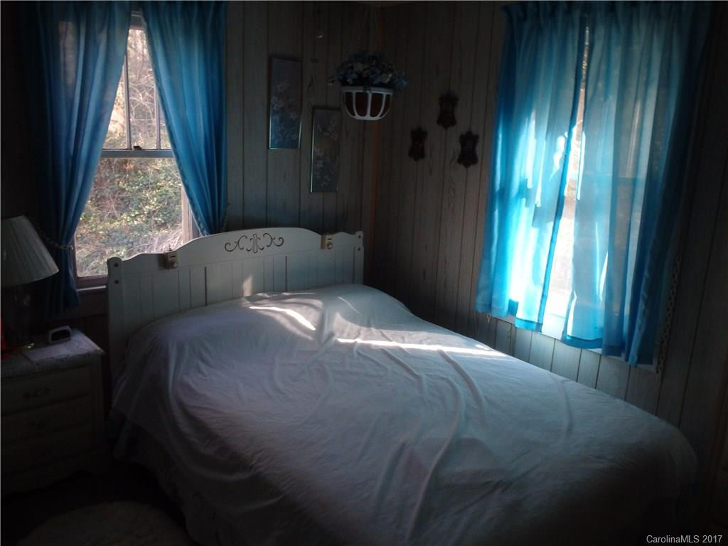 116 Lower Bat Cave Drive - Photo 13