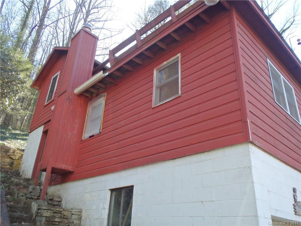 116 Lower Bat Cave Drive - Photo 3