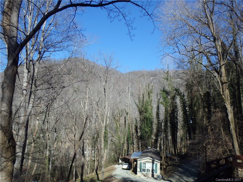 116 Lower Bat Cave Drive - Photo 9