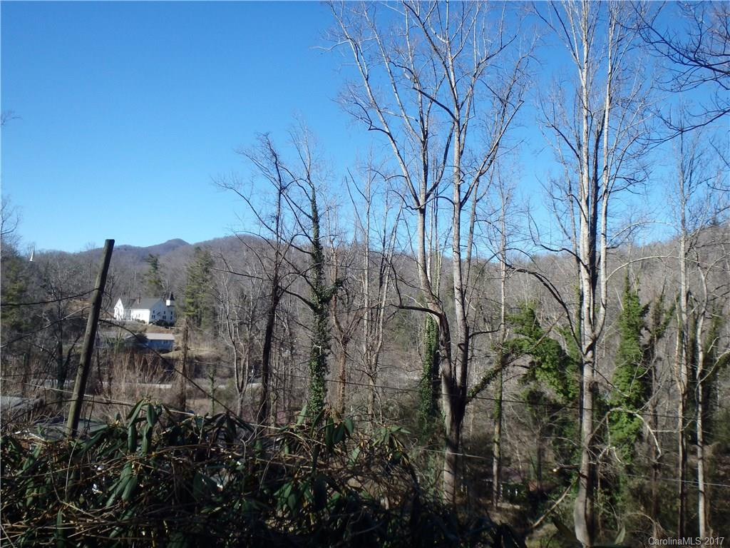 116 Lower Bat Cave Drive - Photo 10