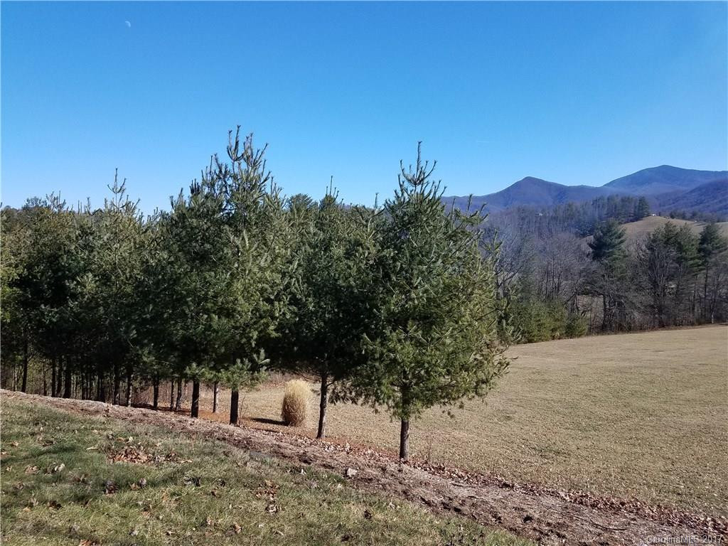 112 Charlie Brown Road - Photo 16