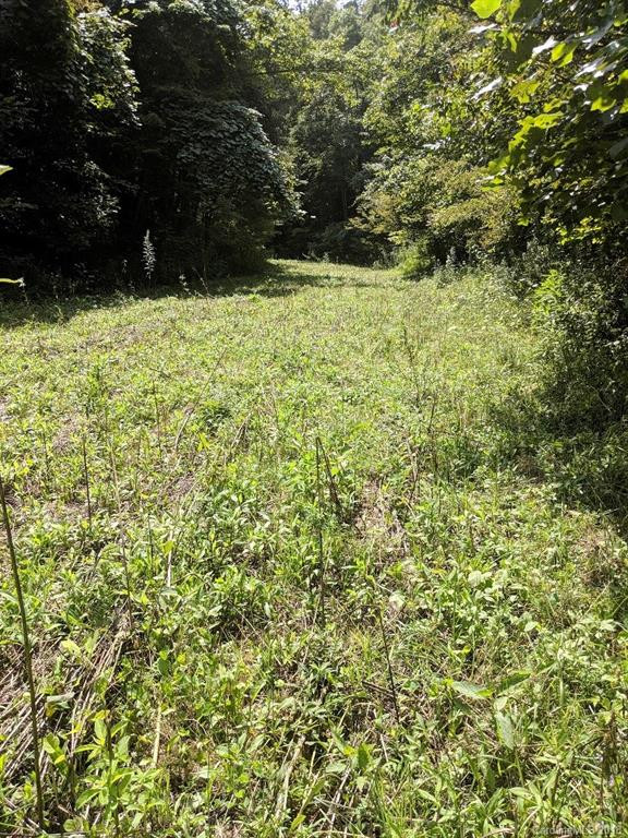 320 Board Tree Road - Photo 7