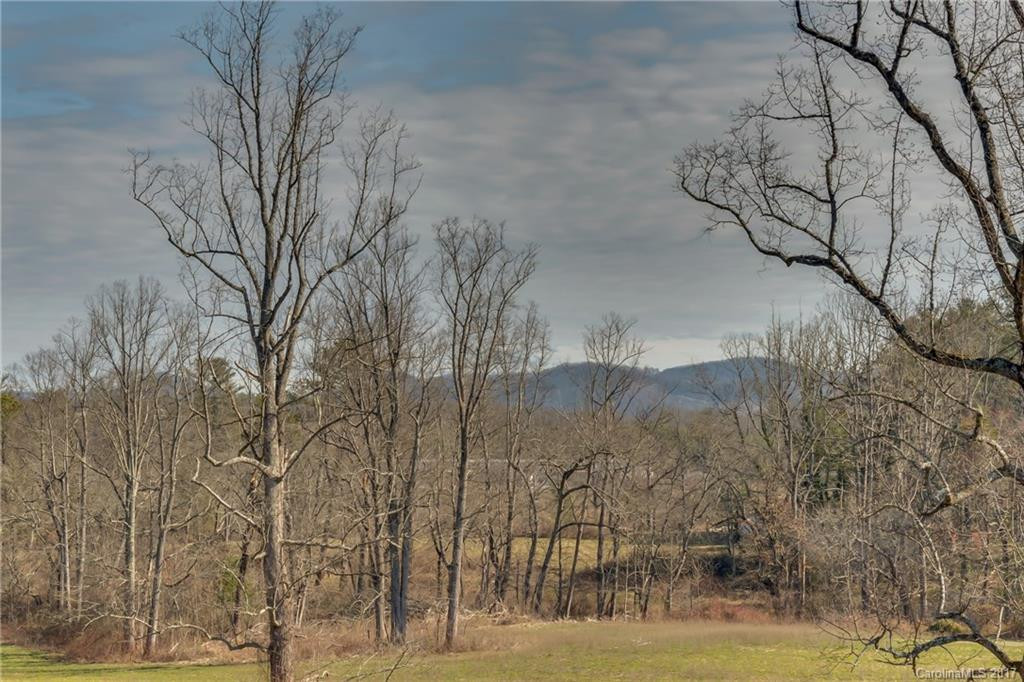 284 Lonesome Dove Trail - Photo 24