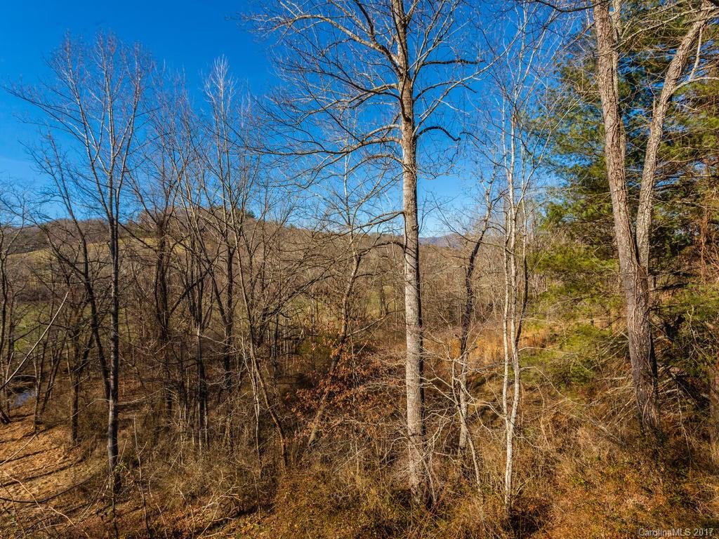 210 Lower Glady Fork Road - Photo 21
