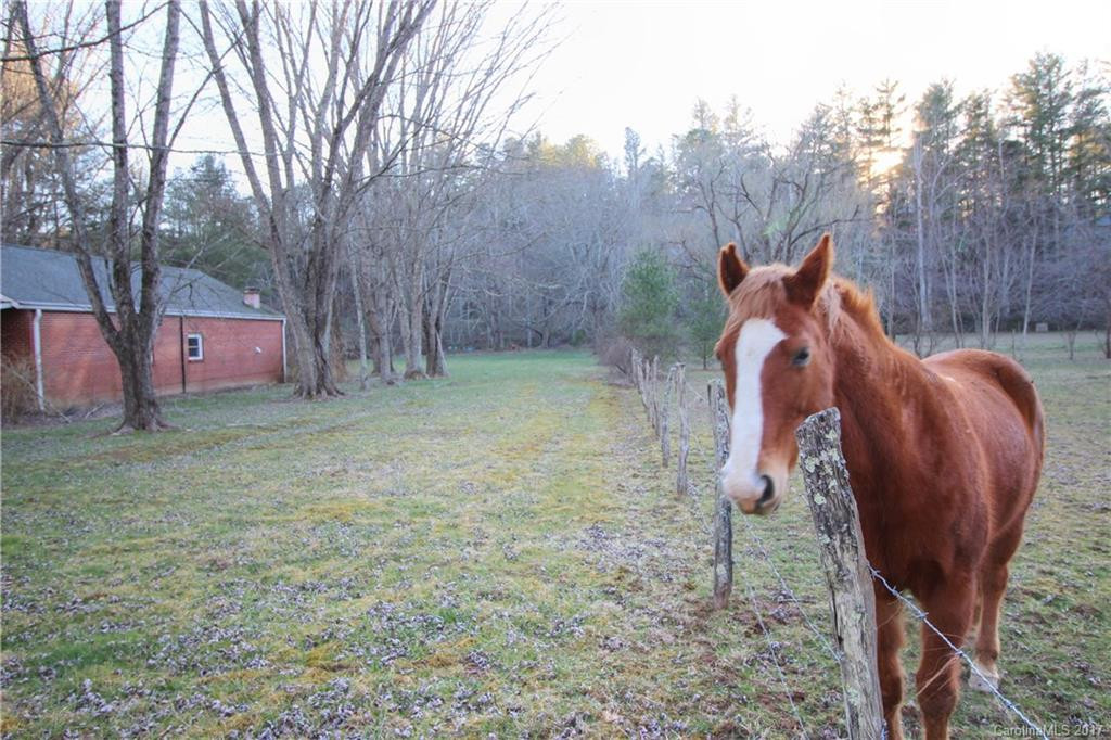 331 Gap Creek Road - Photo 19
