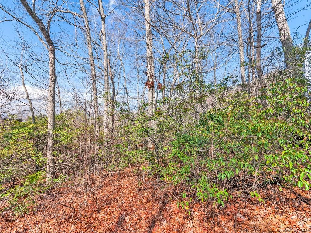 321 Sourwood Road - Photo 14