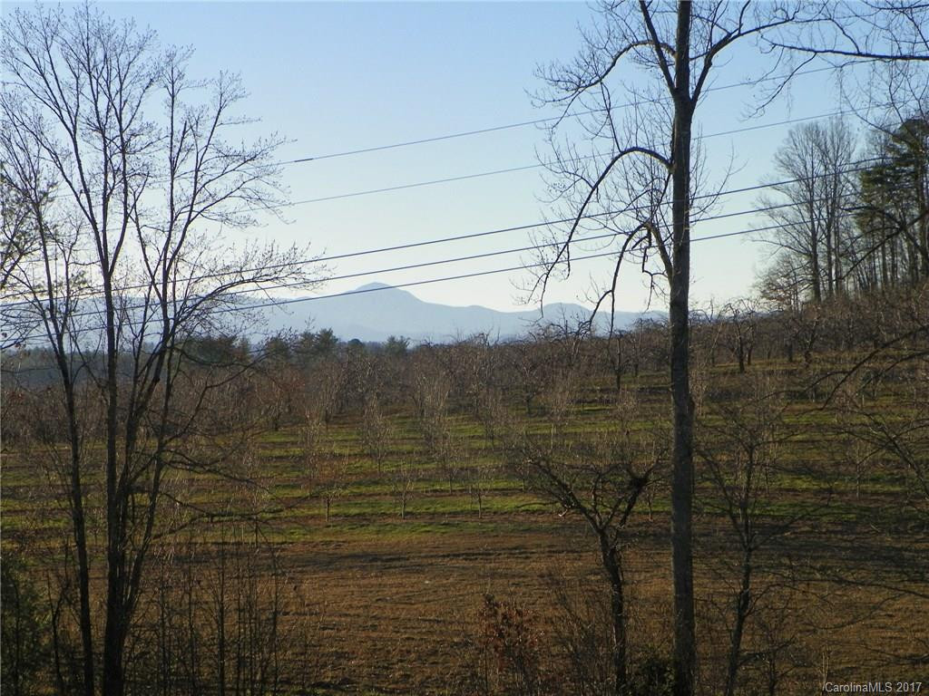 120 Morning Lane - Photo 5