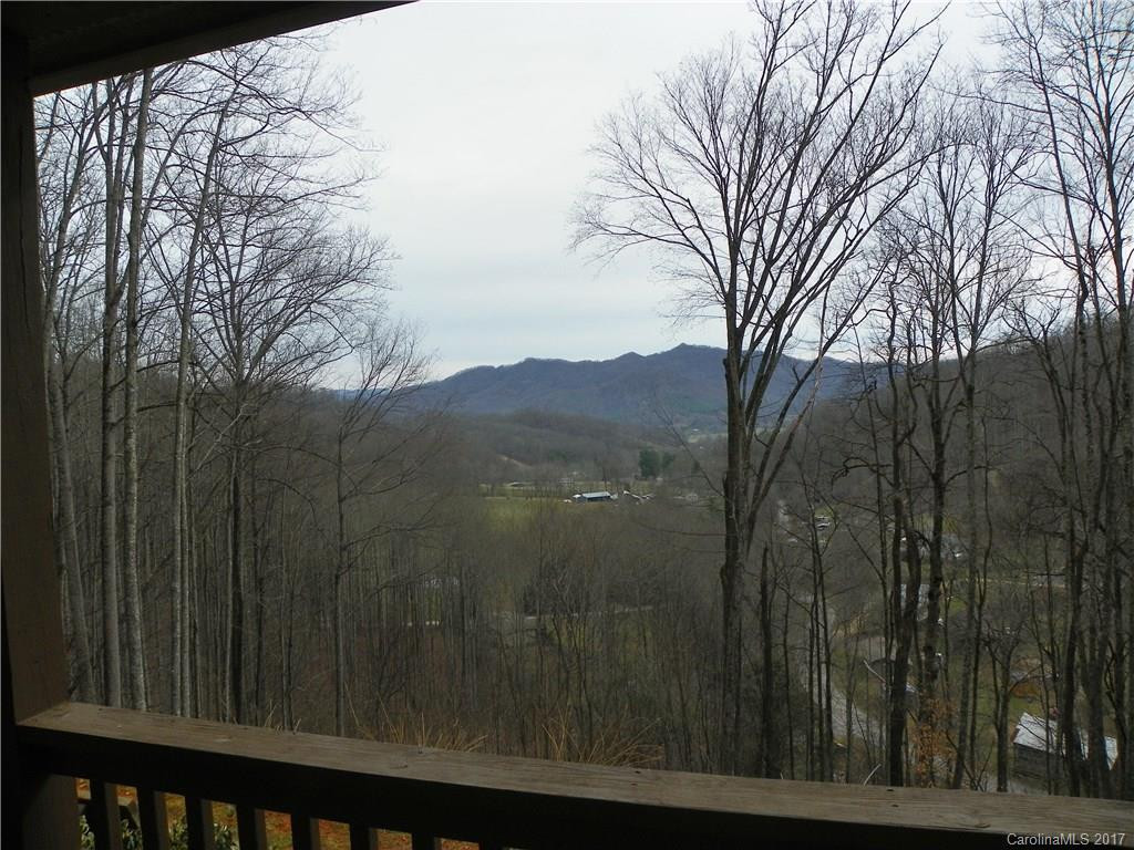270 Roaring Creek Lane #11 - Photo 4