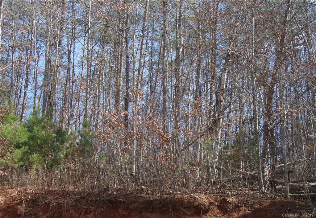 405 Big Cove Road - Photo 14