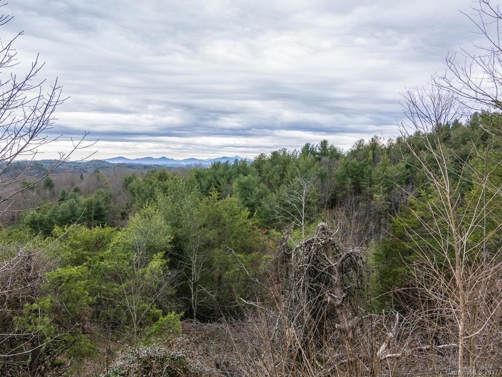 130 Frank Rector Road - Photo 16