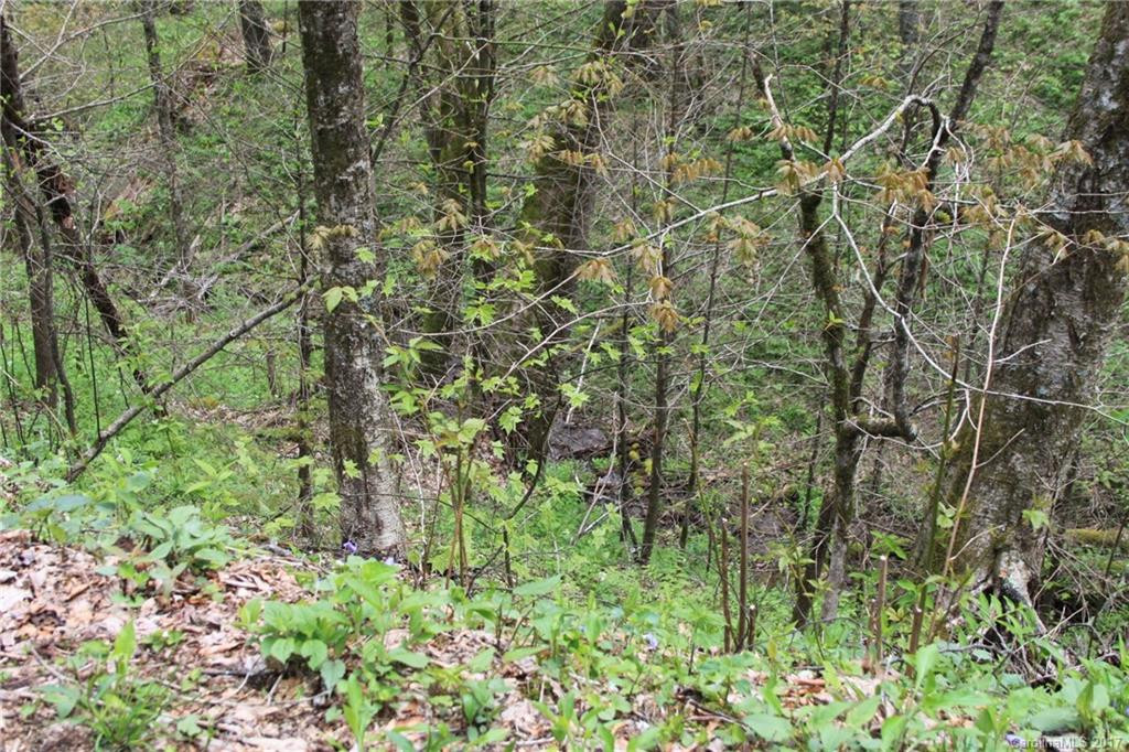 0000 Big Spring Trail #61 - Photo 20