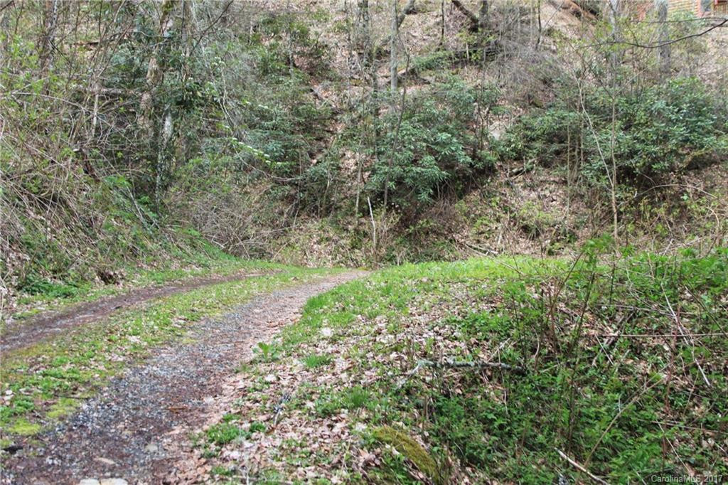 0000 Big Spring Trail #61 - Photo 6