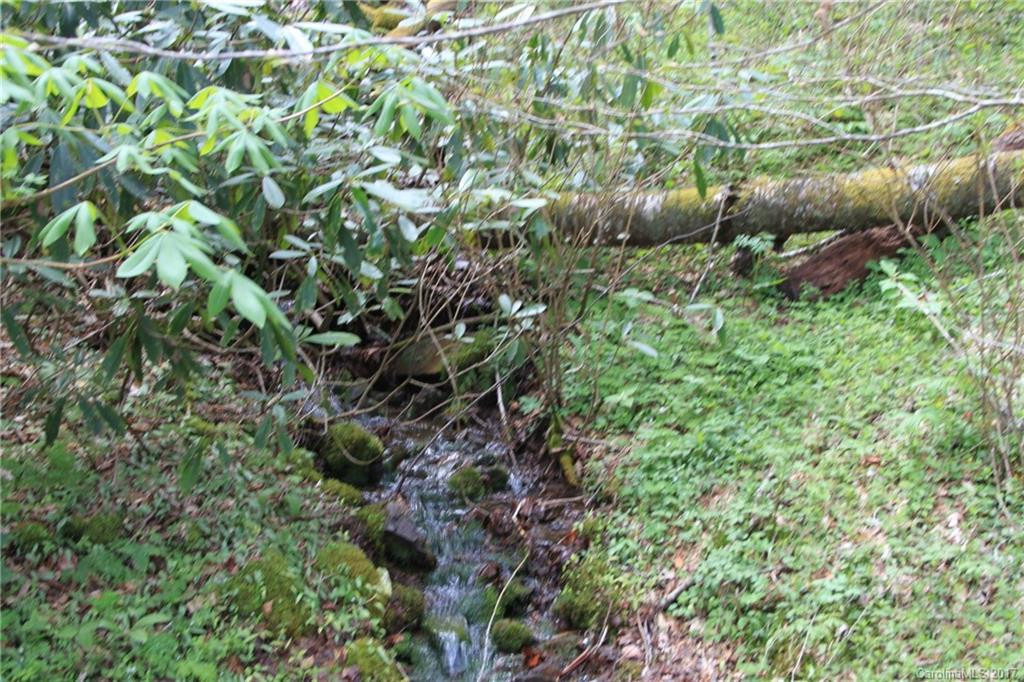 0000 Big Spring Trail #61 - Photo 9