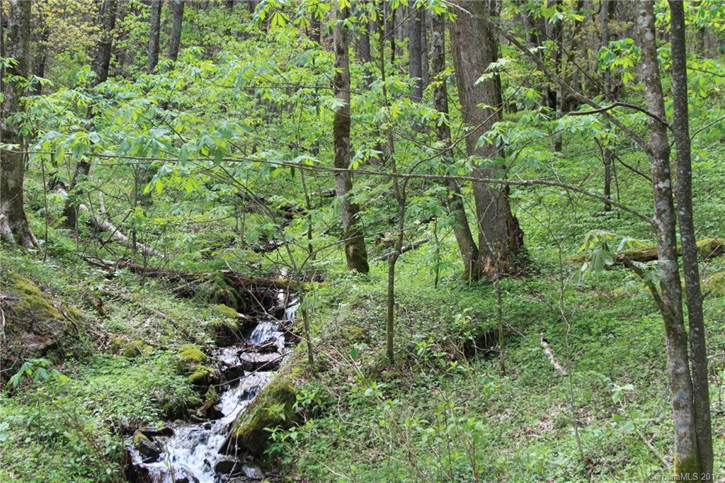 0000 Big Spring Trail #69 - Photo 11