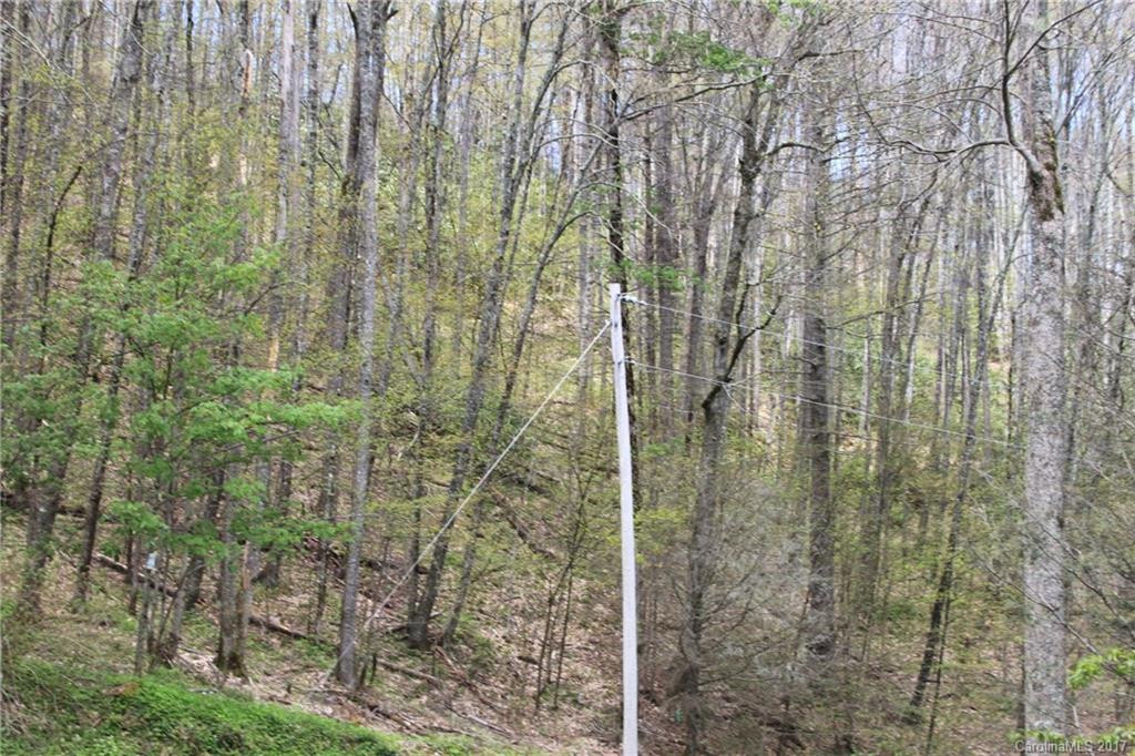 0000 Big Spring Trail #69 - Photo 12