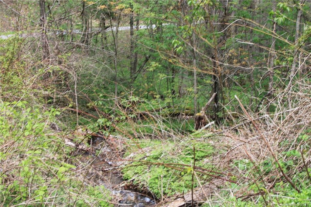 0000 Big Spring Trail #69 - Photo 15