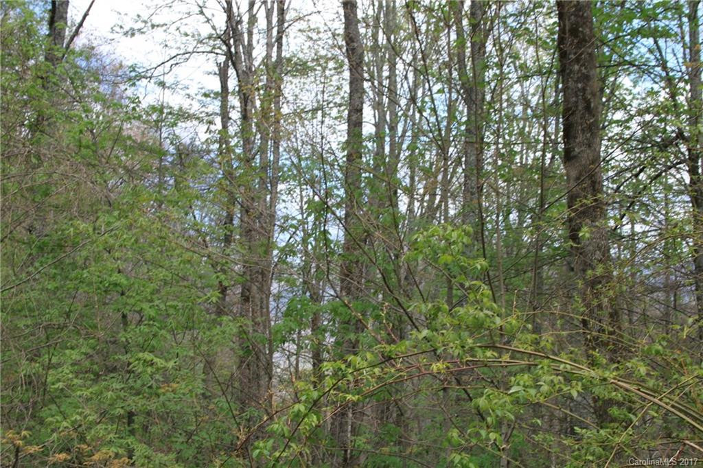 0000 Big Spring Trail #69 - Photo 16