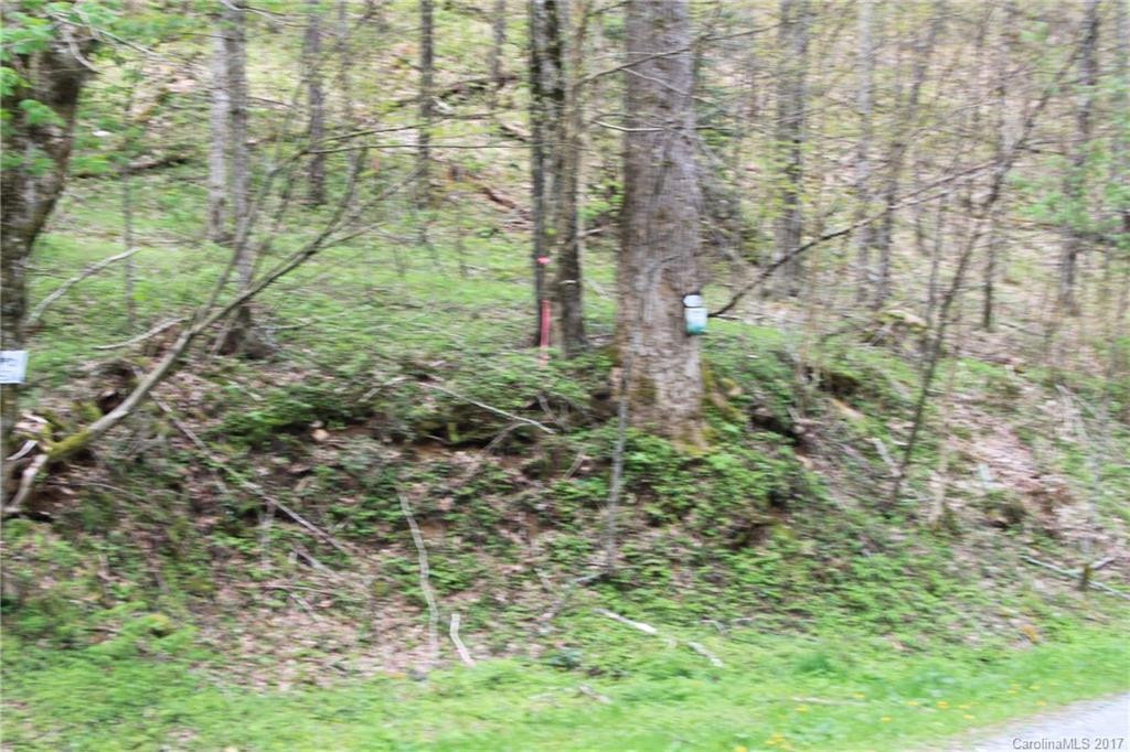 0000 Big Spring Trail #69 - Photo 18