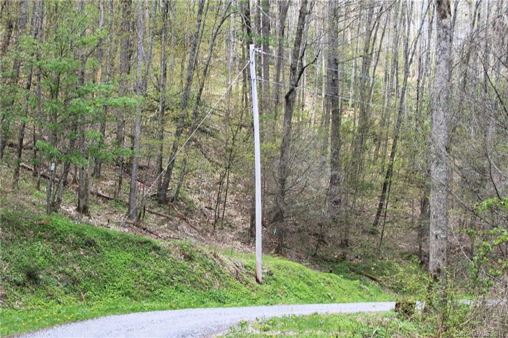 0000 Big Spring Trail #69 - Photo 19