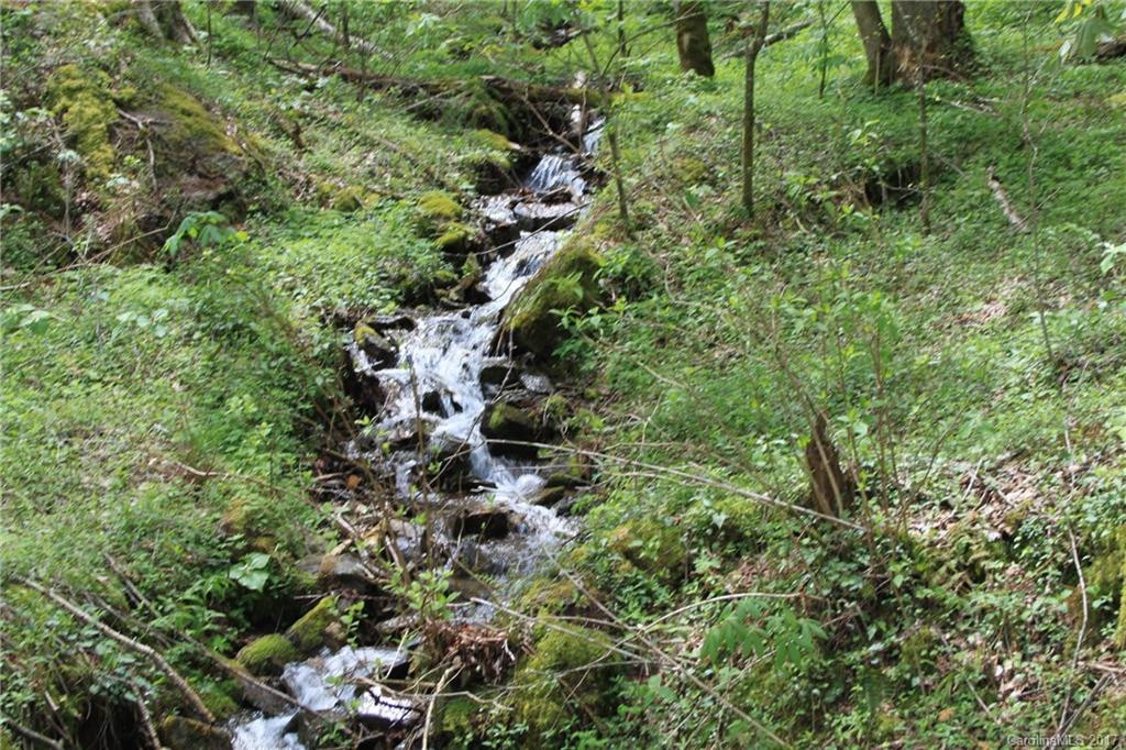 0000 Big Spring Trail #69 - Photo 4