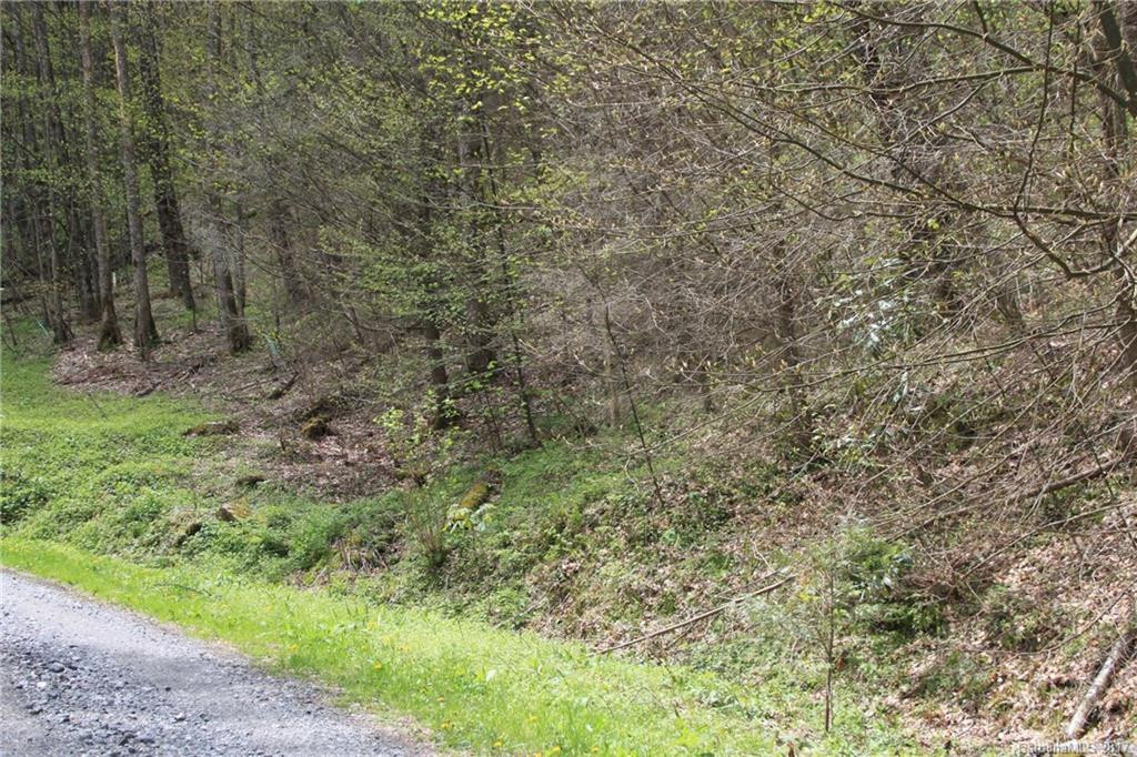 0000 Big Spring Trail #69 - Photo 8