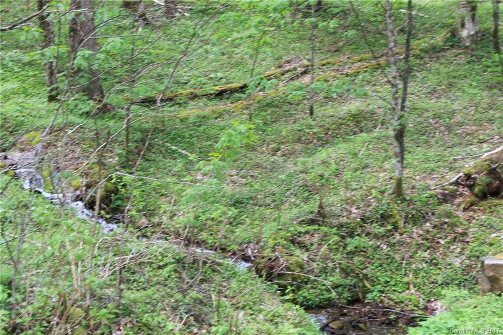 0000 Big Spring Trail #61,69 - Photo 12