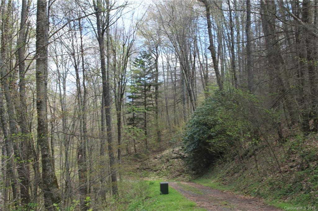 0000 Big Spring Trail #61,69 - Photo 13