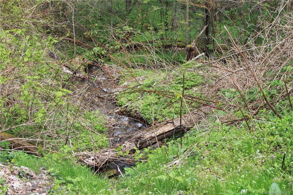 0000 Big Spring Trail #61,69 - Photo 9