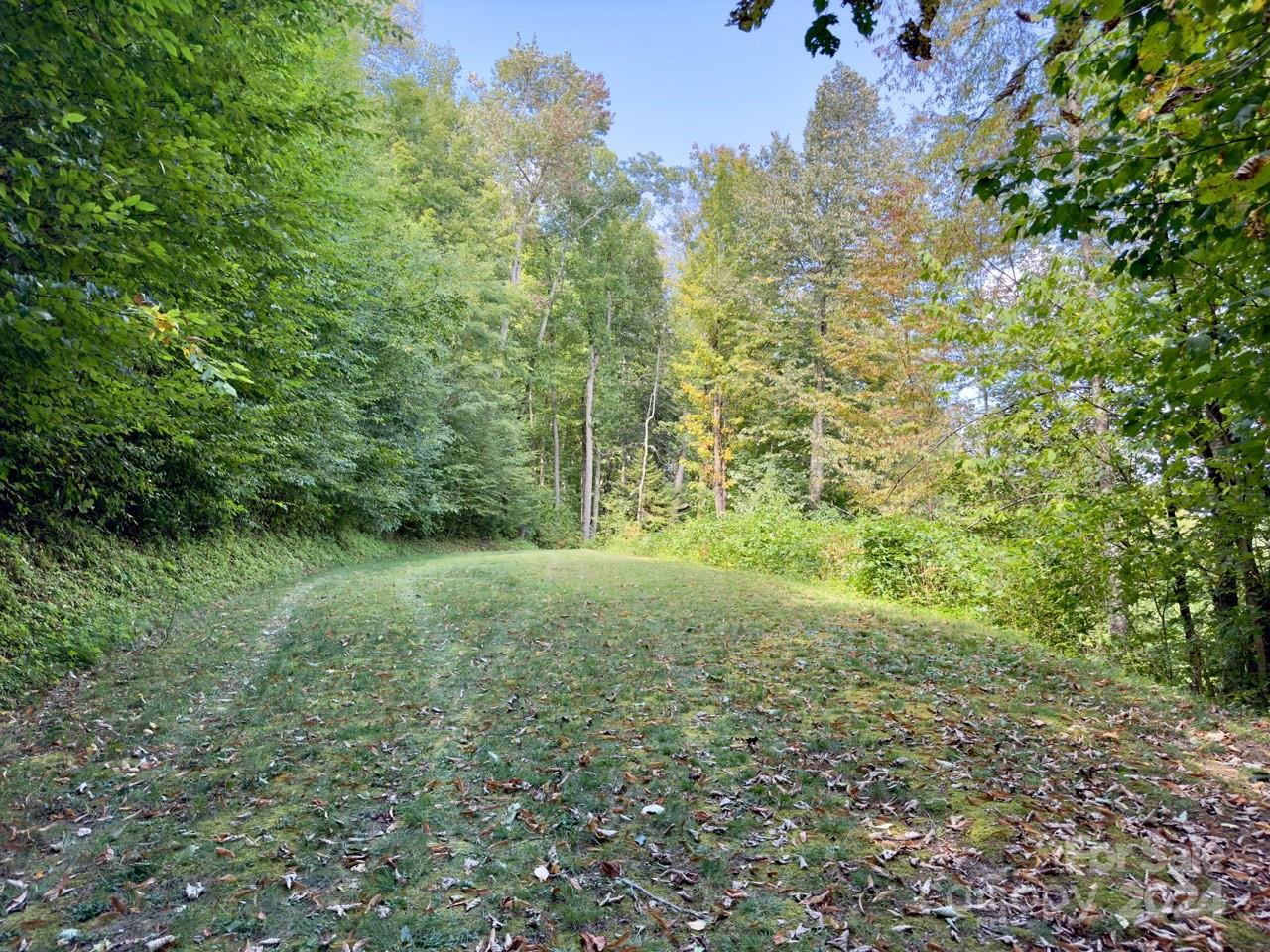 0000 Big Spring Trail #65 - Photo 2