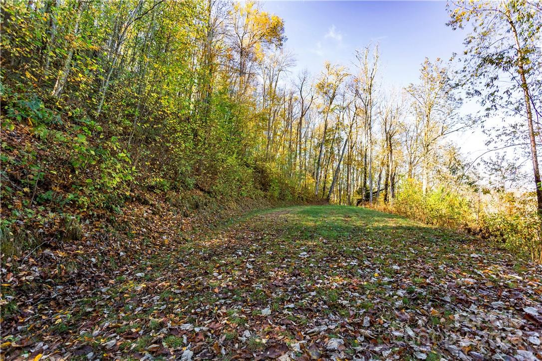 0000 Big Spring Trail #65 - Photo 11