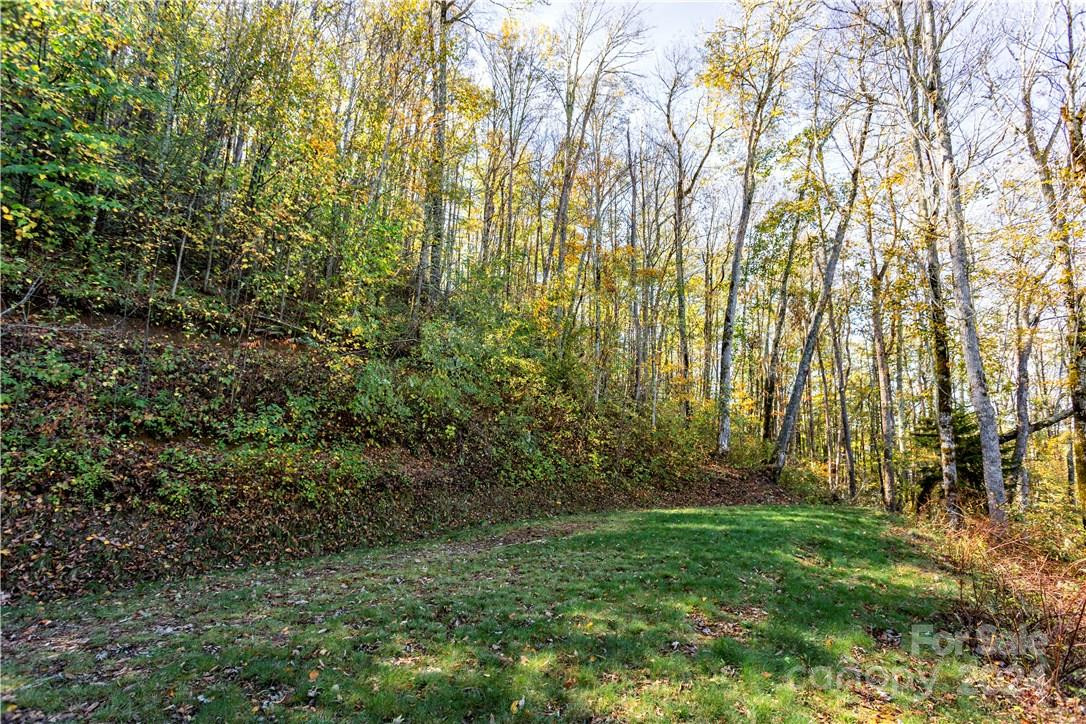 0000 Big Spring Trail #65 - Photo 12