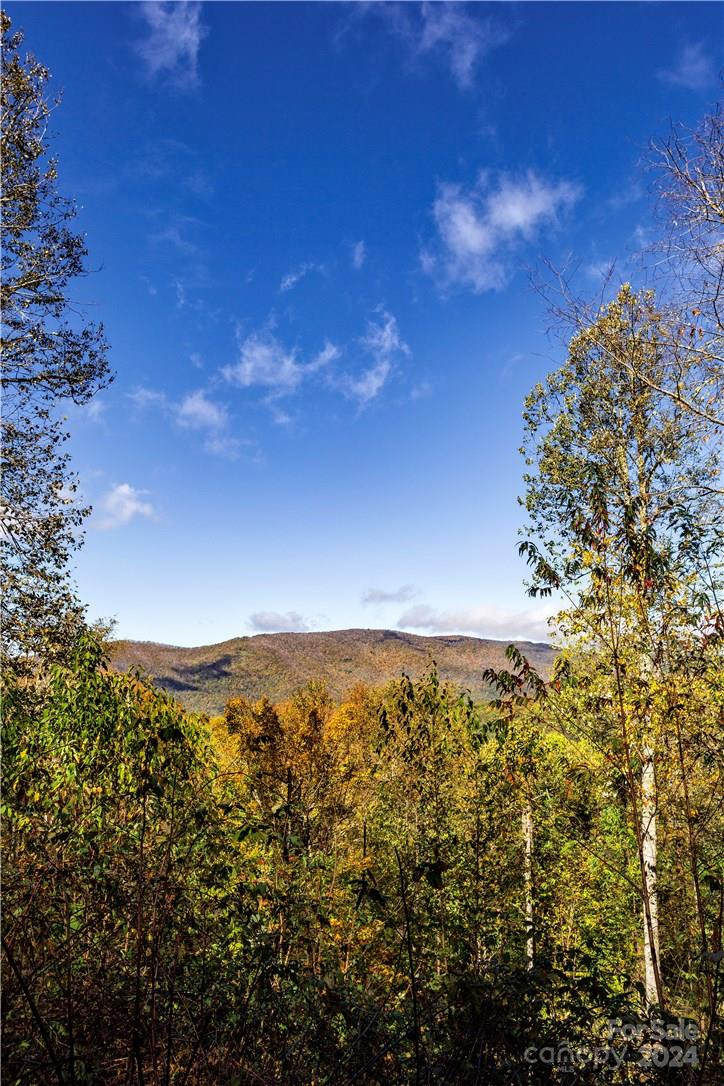 0000 Big Spring Trail #65 - Photo 13