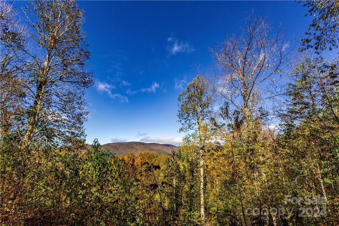 0000 Big Spring Trail #65 - Photo 15