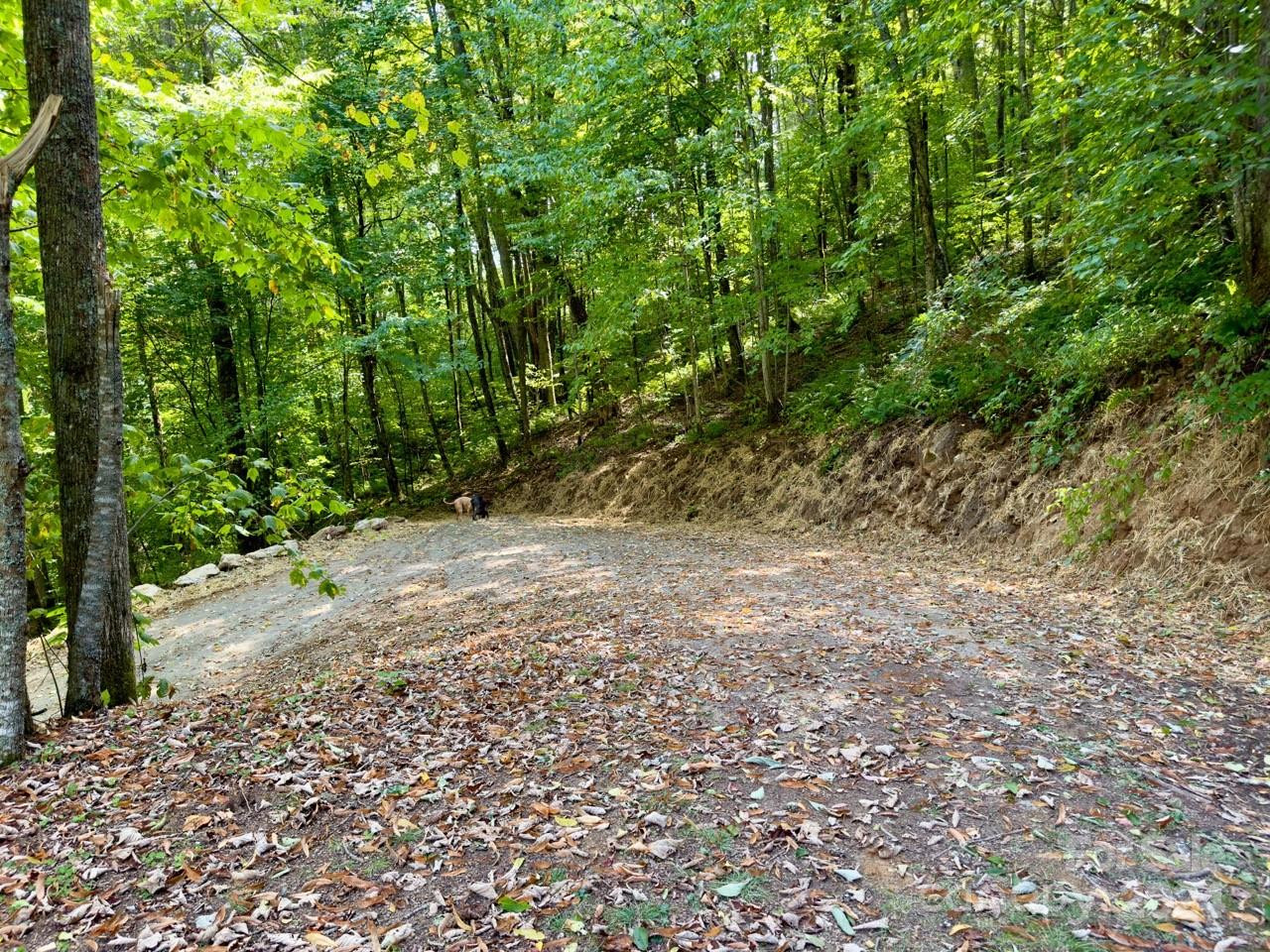 0000 Big Spring Trail #65 - Photo 3