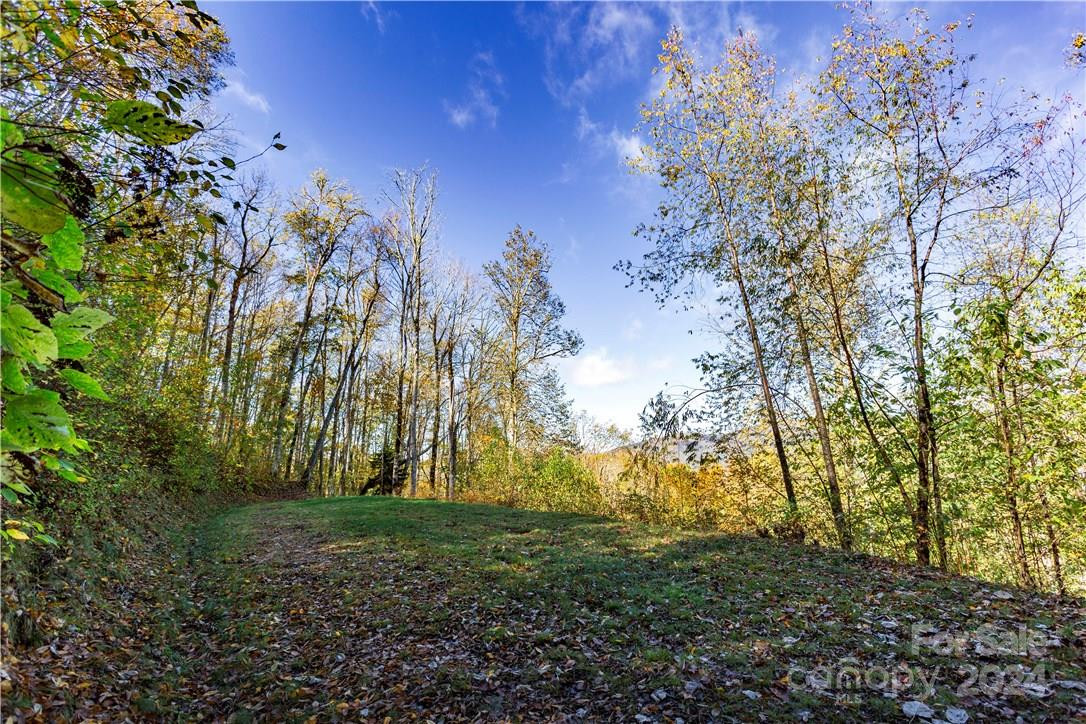 0000 Big Spring Trail #65 - Photo 10