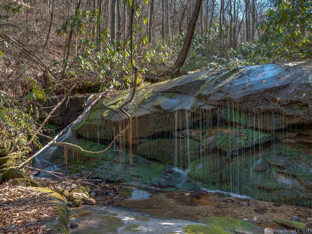 2208 Green River Cove Road - Photo 20